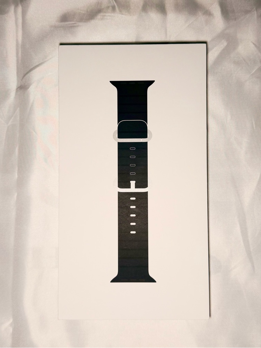 Apple Watch Ultra Black Ocean Band - Natural Titanium